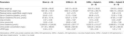 Rhubarb Enema Decreases Circulating Trimethylamine N-Oxide Level and Improves Renal Fibrosis Accompanied With Gut Microbiota Change in Chronic Kidney Disease Rats